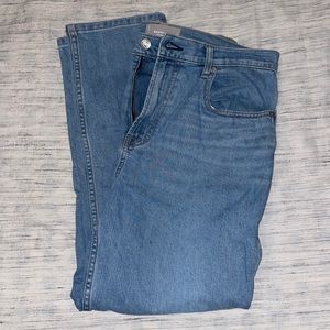 Everlane The Japanese Cheeky Denim Jean 31 Ankle